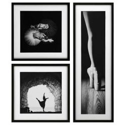 تابلو مدرن BALLERINA