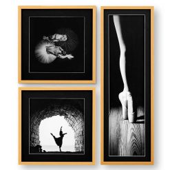 ست تابلو مدرن بالرین