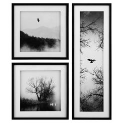 ست تابلو مدرن پرواز پرندهGW-99102-3P-WH/BL