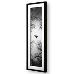 تابلو مدرن پرواز پرنده