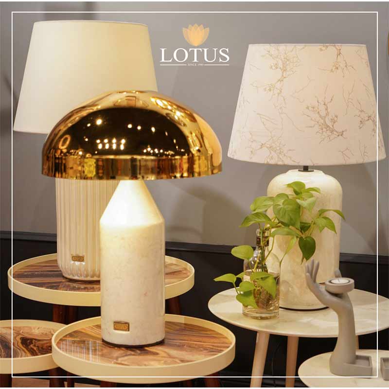 محصولات شرکت لوتوس